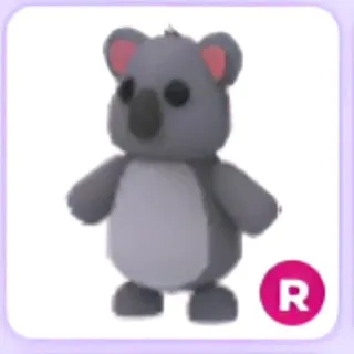 R koala