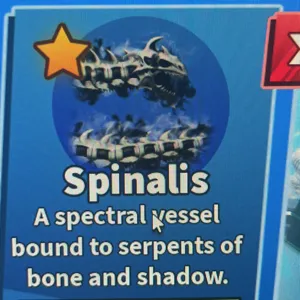 Spinalis Full Set