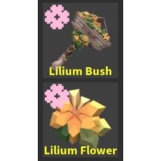 Lilium bush set (FTF)