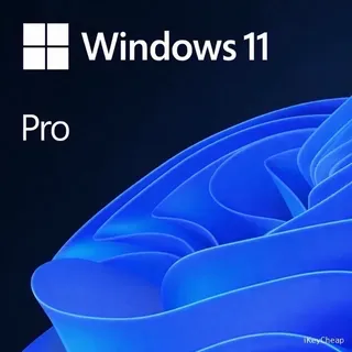 WINDOWS 11 PRO