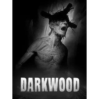 Darkwood (steam key)