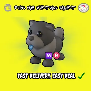 MEGA MR BLACK CHOW-CHOW