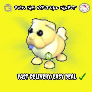 NEON N GOLDEN CHOW CHOW