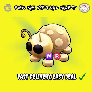 MEGA MR GOLDEN LADYBUG