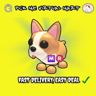 MEGA MR FRENCH BULLDOG