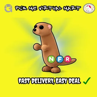 NEON NFR MEERKAT