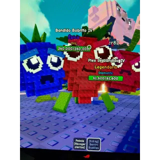 Berrini buddies 5,8 kg good size super rare