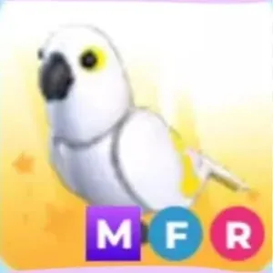 White Amazon MFR