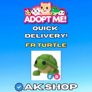 FR Turtle