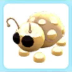 Golden Ladybug