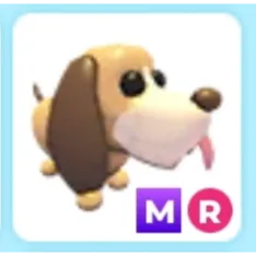 MR Bloodhound