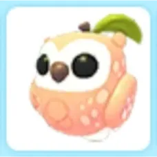 Peach Owl