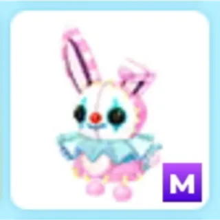 M Stitches