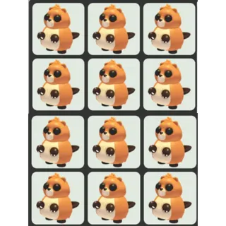 x12 Ranger Beaver