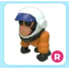 R Astronaut Gorilla
