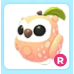 R Peach Owl