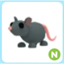 N Rat