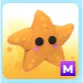 M Starfish