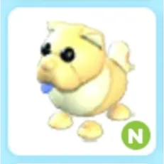 N Golden Chow Chow