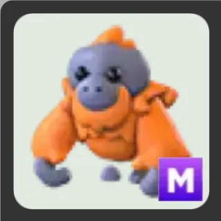 M Orangutan