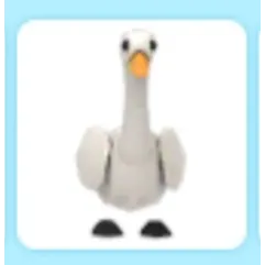 Swan