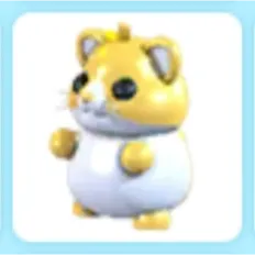Golden Hamster