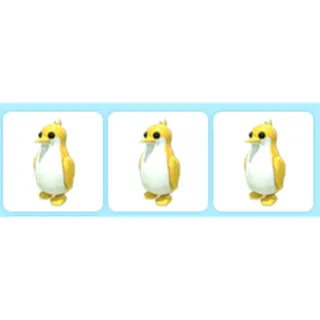 x3 Golden King Penguin