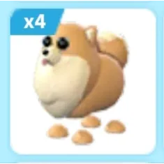 x4 Pomeranian