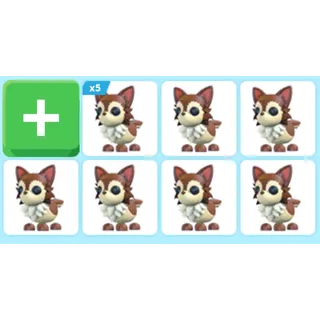x11 Chihuahua