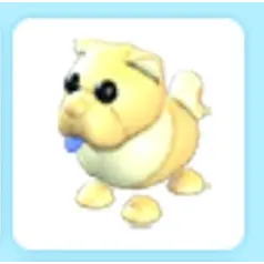 Golden Chow Chow