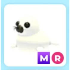 MR Harp Seal