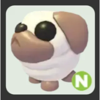 N Snowball Pug