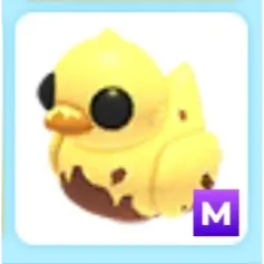 M Dirty Ducky
