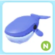N Blue Whale