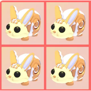 x4 Bunny Swirl