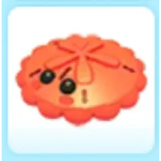 Red Sand Dollar