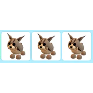 x3 Lynx