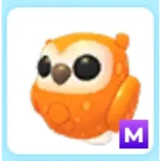 M Clementine Owl