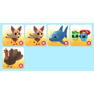 x4 Random pet with pot