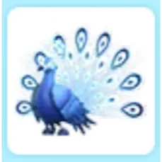 Moonbeam Peacock