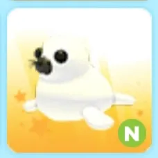 N Harp Seal