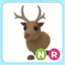 NR Reindeer