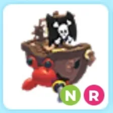 NR Pirate Hermit Crab