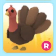 R Turkey