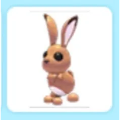 Hare