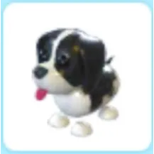 Black Springer Spaniel