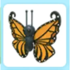 Orange Butterfly