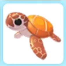 Sea Turtle