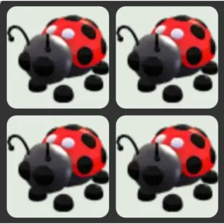x4 Ladybug