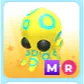 MR Blue Ringed Octopus